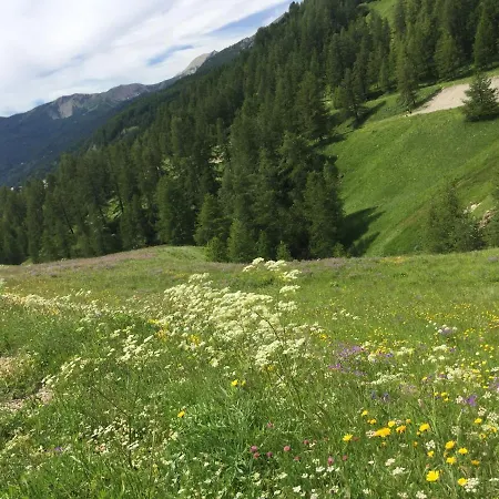 Montagne Allos